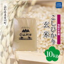 【ふるさと納税】 令和6年産 真室川町 コシヒカリ ＜玄米＞ 10kg（10kg×1袋）