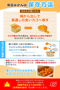 【2024年12月発送予約分】＼光センサー選別／ 【農家直送】【家庭用】こだわりの有田みかん 約5kg＋150g(傷み補償分) 先行予約 有機質肥料100% サイズ混合 【12月発送】みかん ミカン 