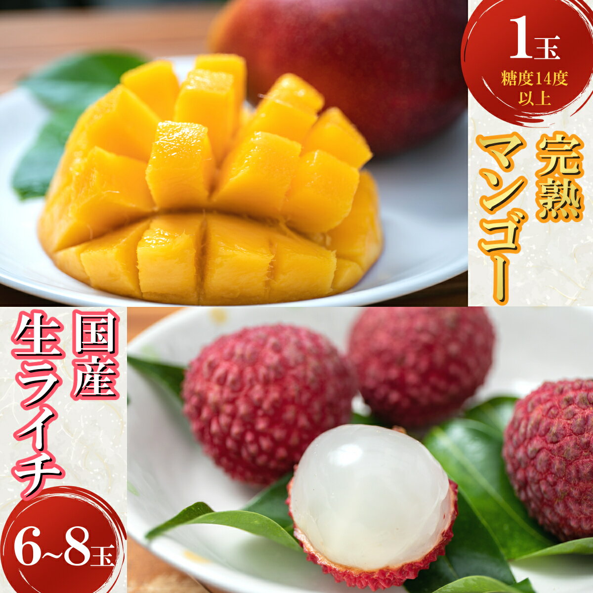 【ふるさと納税】 【令和8年6月上旬ごろより発送】 完熟マンゴーと生ライチのセット マンゴー 1玉 生ライチ 6〜8玉入り 室戸海洋深層水使用 アップルマンゴー （アーウィン） 生ライチ 国産 先行予約 先行受付 果物