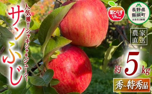 りんご 葉とらず サンふじ 秀 〜 特秀 5kg フレッシュフルーツミカズキ 2025年11月下旬頃から2026年1月下旬頃まで順次発送予定 令和7年度収穫分 信州 果物 フルーツ リンゴ 林檎 長野 26000円 予約 農家直送 長野県 飯綱町 [1665]