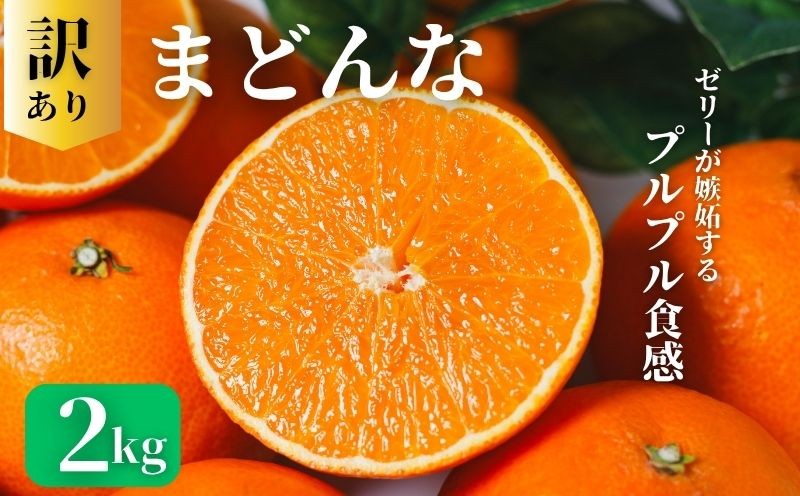 
                  【先行予約：2026年11月20日～発送】訳あり まどんな 2kg 数量限定 愛果28号 紅まどんな 柑橘 かんきつ フルーツ 果物 旬 みかん ミカン 国産 サイズ不揃い 家庭用 おやつ 期間限定 みかん マドンナ 愛媛県 愛南町 愛南町青果市場組合
                