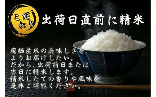 【6回定期便】ゆめぴりか （無洗米） 10kg×6回 【2025年10月下旬より発送開始】 合計60kg 北海道 鷹栖町 たかすのお米 特別栽培米 米 コメ ご飯 無洗米 お米 ゆめぴりか