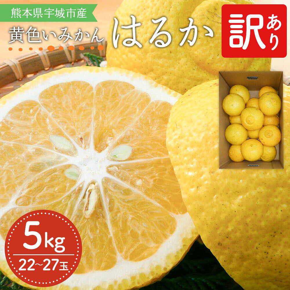 【ふるさと納税】 先行予約 みかん 訳あり はるか 約5kg (22〜27玉前後) 家庭用 【2026年2月上旬頃～2026年5月下旬発送】吉田レモニー わけあり 柑橘 宇城市産 熊本県産 九州産 国産 送料無料 吉田レモニー