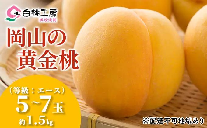 桃 先行予約 黄金桃 等級 エース 約1.5kg  5～7玉入り もも モモ 桃