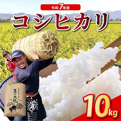 ふるさと納税 亀岡市 【令和7年産】京都丹波産 お米 コシヒカリ 精米 10kg〈京都丹波 カントリー〉