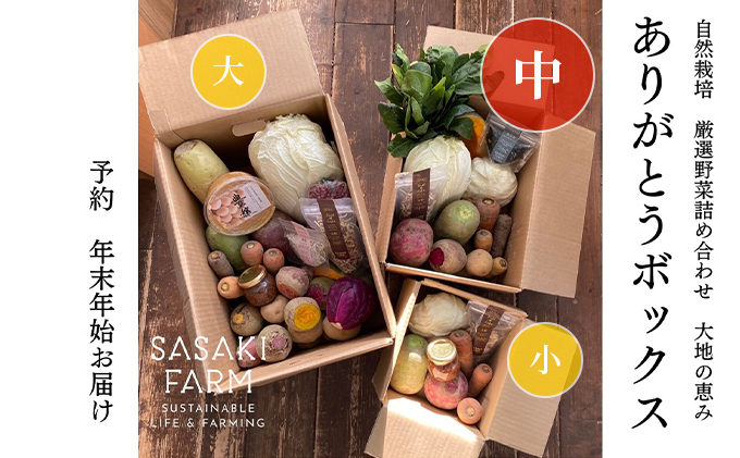 旬の野菜詰め合わせ ～ありがとうBOX2026・中～ 12月1日～1月31日頃お届け 先行予約 北海道 野菜 やさい 詰め合わせ セット 北海道産 常備菜 加工品 自然栽培 佐々木ファーム 産地直送 洞爺湖町