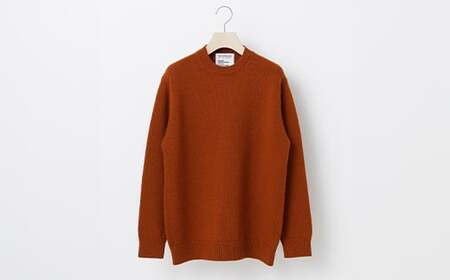 ≪先行予約≫【THISISASWEATER.】A1 : A SWEATER IS ORDINARY BROWN ブラウン カシミヤセーター 服 洋服 ユニセックス メンズ レディース ブランド 数量限定 山形県 山辺町 サイズ0 yt-soxxb0