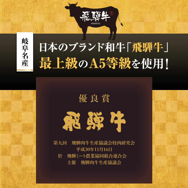 牛肉 飛騨牛 サーロイン ステーキ セット 1ｋｇ （ 1枚 約250ｇ × 4枚 ） 黒毛和牛 Ａ5 美味しい お肉 牛 肉 和牛 サーロインステーキ 【岐阜県池田町】