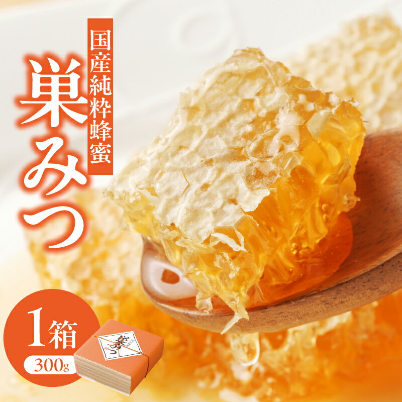 【ふるさと納税】はちみつ 国産純粋蜂蜜 巣みつ 300g 非加熱 はちみつ ハチミツ 生はちみつ ローハニー オススメ 贈答 贈り物 プレゼント 八女市