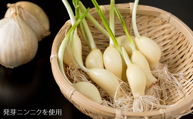 発芽ニンニクのたまり漬け（3パック） 健康志向 無臭  にんにく 社会福祉 臭いが少ない ニンニク