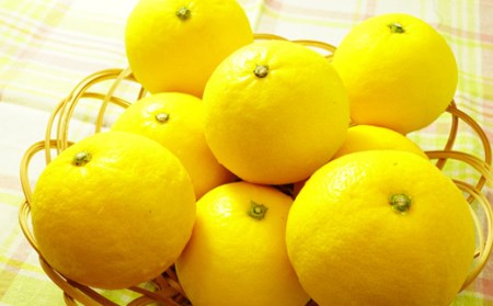 小夏 5kg【贈答用】 柑橘 小夏