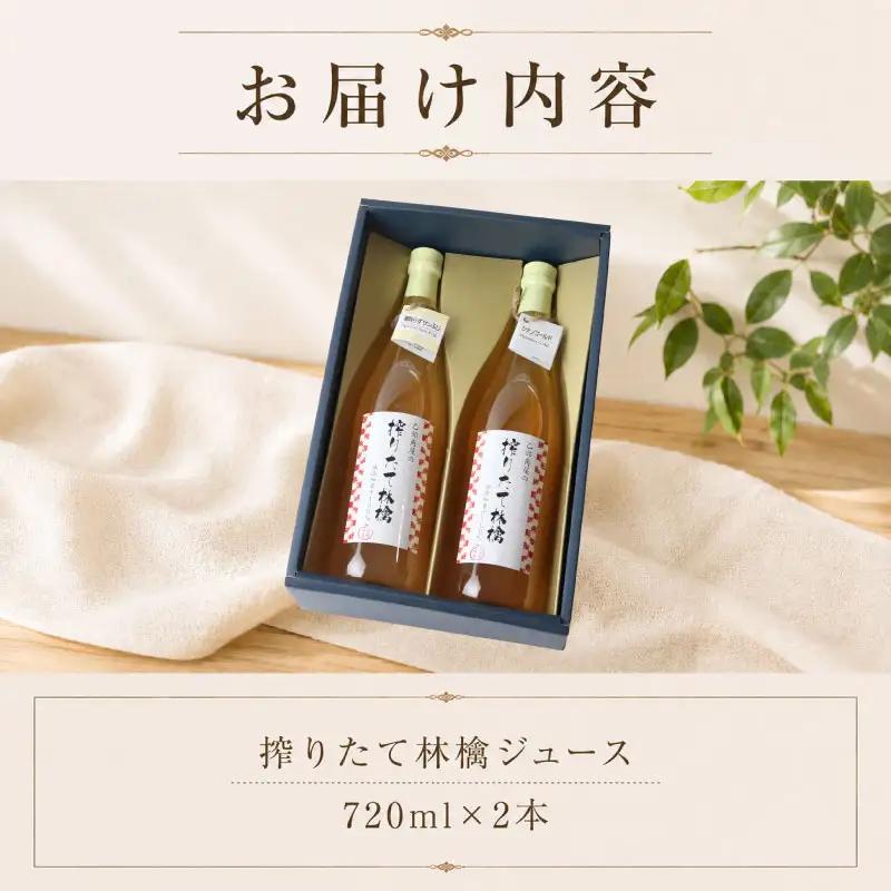 搾りたて林檎ジュース 720ml×2本 佐々木果樹園 乙部角屋 otobe001 りんごジュース