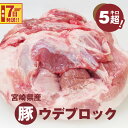 【ふるさと納税】【レビューキャンペーン対象】宮崎県産豚ウデブロック5kg超！ - 国産豚肉 ウデ肉 かたまり肉 5キロ 冷凍 大容量 ブロック肉 塊肉 大きい お好みにカットできる 届いたらご自宅でカット スピード配送便 送料無料 【宮崎県木城町】