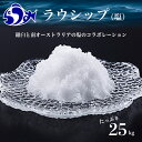 【ふるさと納税】ラウシップ 25kg 海洋深層水 世界自然遺産 知床らうすブランド認証品 南オーストラリア 天日海水塩 ペットボトル ミネラル 北海道 知床 羅臼 塩 生産者 支援 応