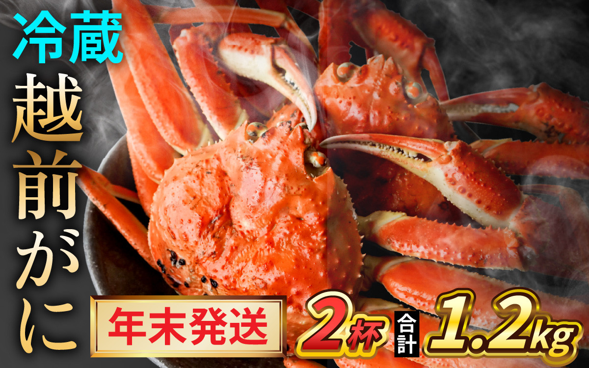 
            【先行予約/12月25日より順次発送】【年末希望】 越前がに 600ｇ×2杯 ズワイガニ ずわいがに ボイル 冷蔵 小浜市 / まるほ商店 【配送不可地域：北海道・沖縄・離島】[BFCS034]
          
