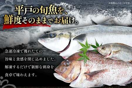 魚 刺身 【4月発送】 3種セット 3人前 各 約150g 総計 約450g [百旬館 長崎県 平戸市 hr42bhb460005]