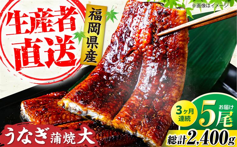 【全3回定期便】福岡県産 うなぎ 蒲焼 大5尾　合計 800 g（1尾あたり 160g以上）《豊前市》【福岡養鰻】 国産 うなぎ 大 [VAD017]