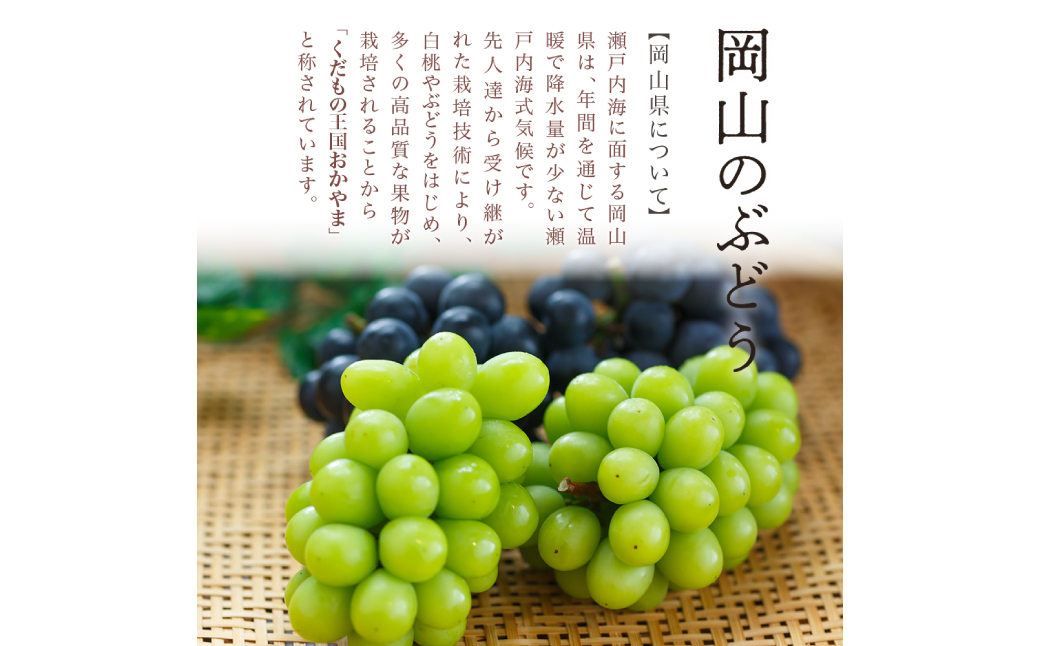 【先行予約】岡山県産 瀬戸ジャイアンツ2房【2025年9月上旬-9月下旬 発送予定】（1房480g以上）約1kg 化粧箱入り【ぶどう 果物 フルーツ 国産 人気 おすすめ 岡山県 倉敷市】