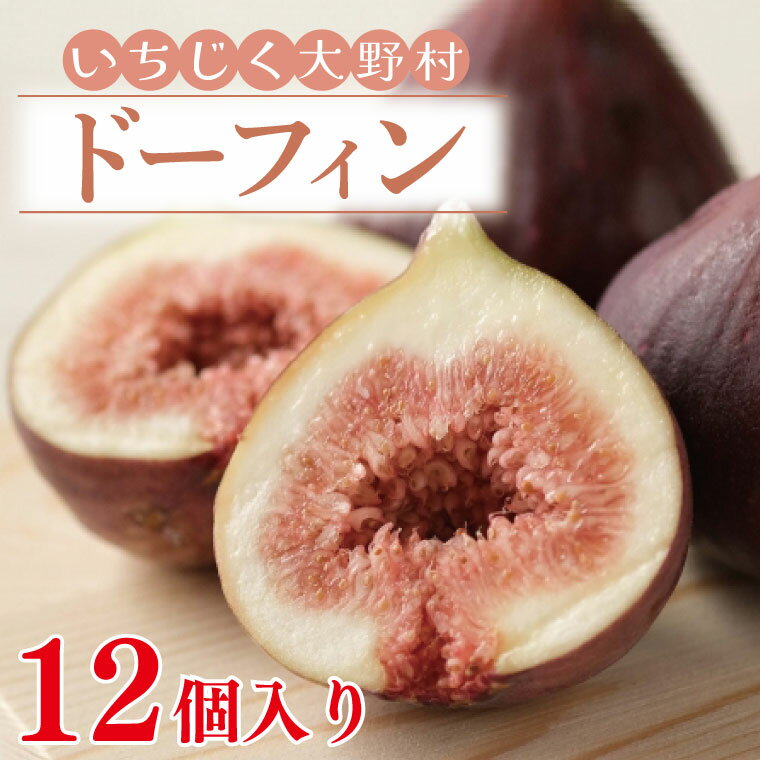 【ふるさと納税】【先行予約】【7月上旬～11月まで発送】いちじく大野村(ドーフィン) 12個入 フルーツ果物（KAE-5）