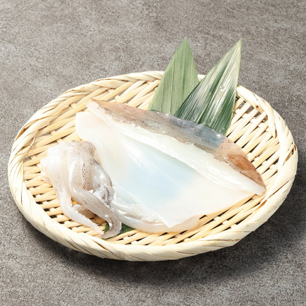 【ふるさと納税】熊本県産 冷凍 活アオリイカ ブロック（刺身用） 1杯 いか 魚介類 水産物 天然 国産 九州 熊本県 送料無料