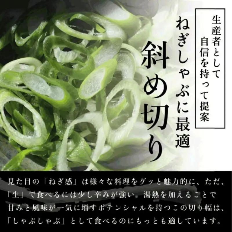 【こと京都】《毎月29日お届け》九条ねぎのしゃぶしゃぶセット［ 京都 ねぎ 野菜 京野菜 鍋 豚肉 人気 おすすめ グルメ ギフト プレゼント お取り寄せ 通販 送料無料 ふるさと納税 ］