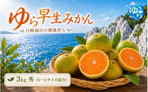 
                  ゆら 早生 みかん  秀品 3kg 由良みかん / 温州みかん 和歌山 甘い 家庭用 ※2027年10月上旬～10月下旬に順次発送予定/ 柑橘 ミカン 蜜柑 甘い 由良町 フルーツ 果物 くだもの 食品 人気 おすすめ 産地直送 由良町【ktym003-p-3】
                