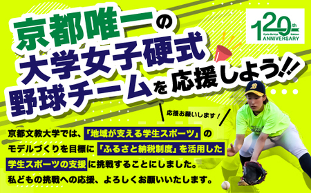 ＜Mサイズ・紺色＞京都文教大学 女子硬式野球チームTシャツ(1枚)  Tシャツ グッズ 女子硬式野球 野球 硬式 京都文教大学【uj-DO001-M-B】【京都文教大学】