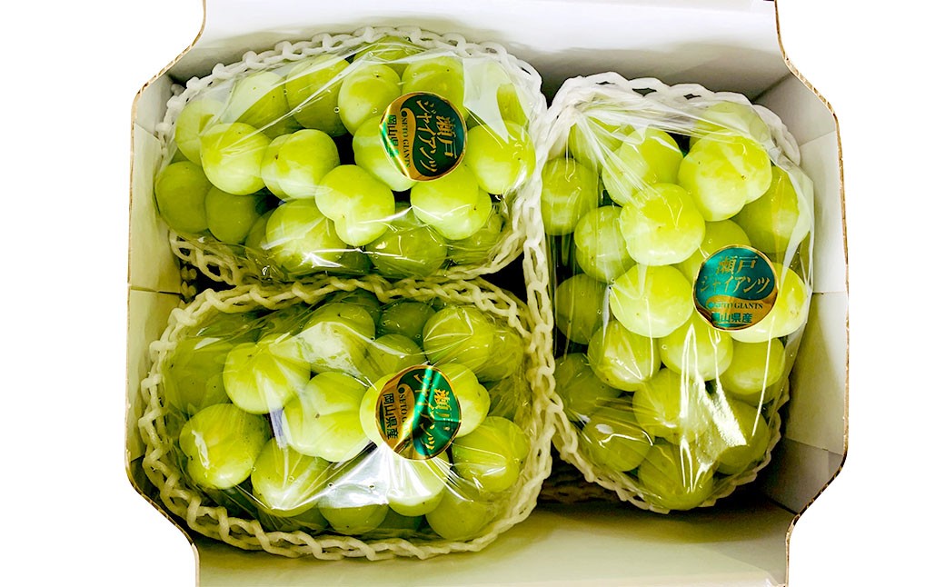 
            ぶどう 2026年 先行予約 シャイン マスカット 3～4房 合計2kg以上 ブドウ 葡萄  岡山県産 国産 フルーツ 果物 ギフト 河本農園 【2026年9月上旬～9月下旬発送予定】
          