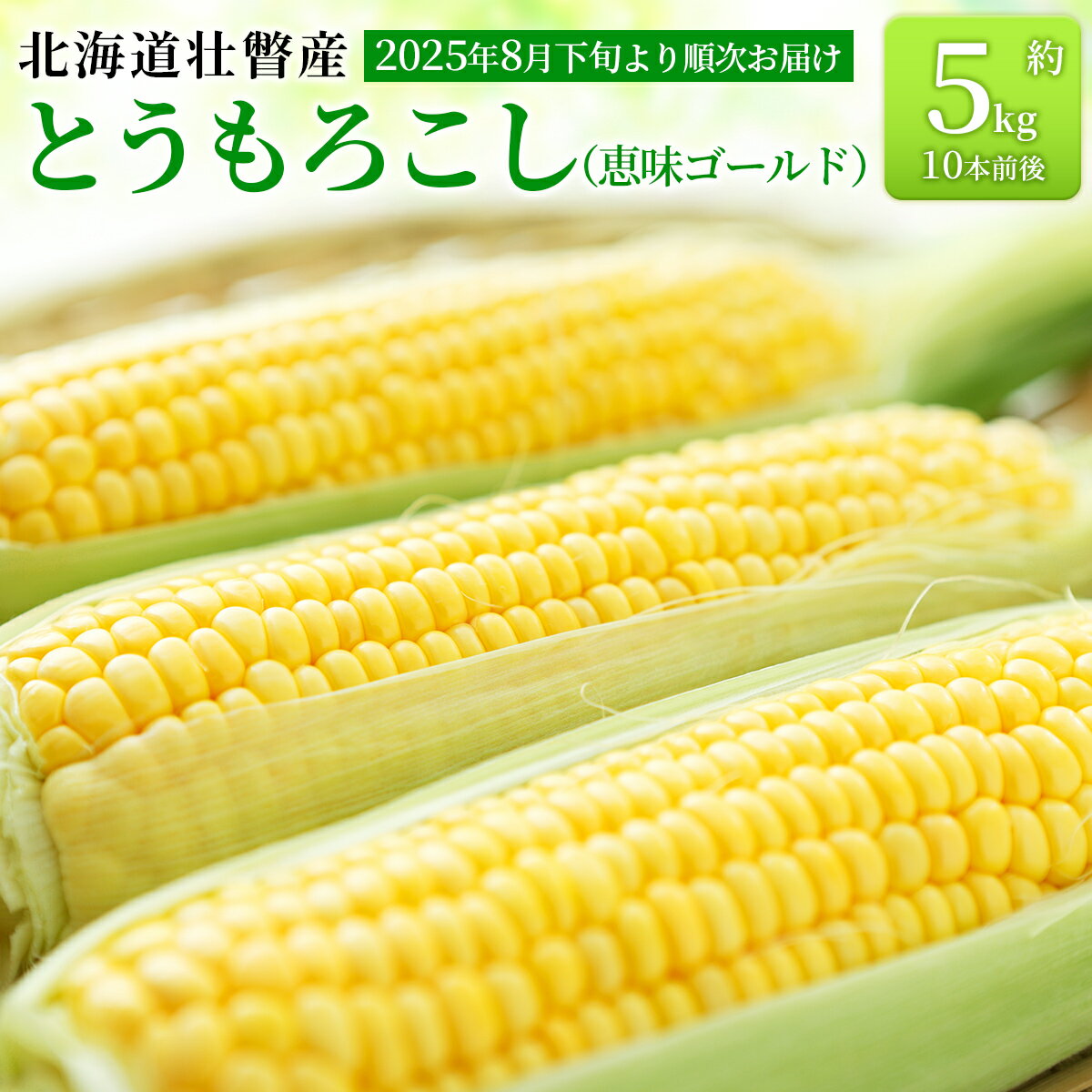 【ふるさと納税】＜2025年8月下旬より順次お届け＞北海道壮瞥産 とうもろこし（恵味ゴールド）約5kg 【 ふるさと納税 人気 おすすめ ランキング 北海道 壮瞥 先行予約 とうもろこし トウモロコシ 野菜 大容量 詰合せ セット 北海道 壮瞥町 送料無料 】SBTA001