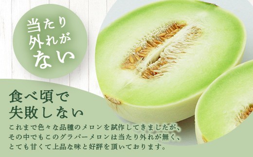 【2026年分 予約】 先行予約 グラバーメロン 3玉 (約3kg) 熊本県 多良木町産 フルーツ 果物 高糖度 メロン ぐらばー めろん 熊本メロン 2026年4月中旬～発送開始　013-0557