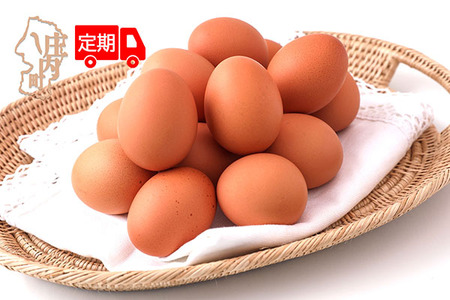 【6か月定期便】スズキのたまご 地養卵 50個 MS～Lサイズ 新鮮 卵 たまご 鶏卵 生卵 地養卵 赤たまご 大容量 定期【7月中旬発送/入金期限：2026年6月25日】