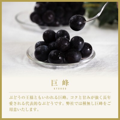 山梨県山梨市産　旬の採れたて巨峰　約1kg　2～3房【配送不可地域：離島】