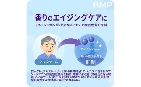 BMP カシスパウダー お試し100g（カシス濃縮果汁粉末）