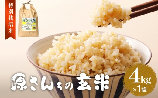 令和7年度産 原さんちの玄米 玄米 4kg にこまる 有機質肥料 特別栽培米 原農園 完熟堆肥 アートテン農法 抗酸化農法 有効微生物農法 光合成 体に良い 美味しい お米 安全 清潔 環境に優しい 栄養価 高品質 産地直送 健康志向