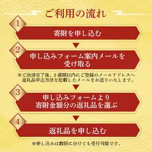 ＼50品から選べる／ 飛騨牛オンラインカタログ450万円 有効期限なし 後から選べる 飛騨牛 牛肉 肉 国産牛 カタログ すき焼き しゃぶしゃぶ 焼肉 ステーキ 定期便 特産品 グルメ 無期限 牛肉 