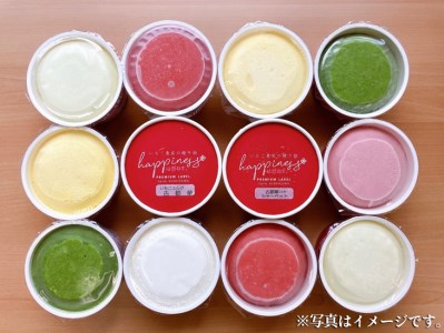 いちご農家の自家製SWEETS いちごと季節の野菜・フルーツのアイスクリーム 家庭用アソート 12個入◆