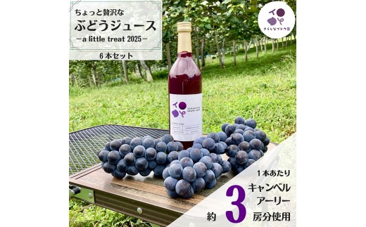ちょっと贅沢なぶどうジュース 6本セット 岩手県紫波町産 キャンベルアーリー100％使用【100%ストレート 濃厚 6か月熟成 キャンベル 葡萄 贈り物 プレゼント】 (ER003)