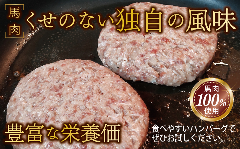 桜文 馬肉ハンバーグ 総量2.4kg（120g×20個） 個包装 099H3402