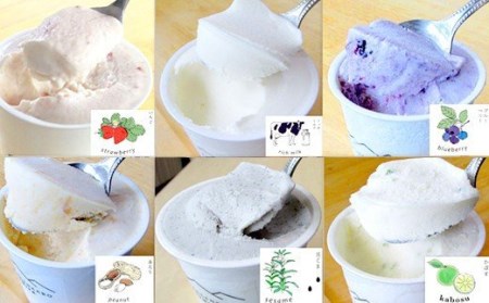 プレミアムアイスクリーム 12個入りセット（130ml×12個）