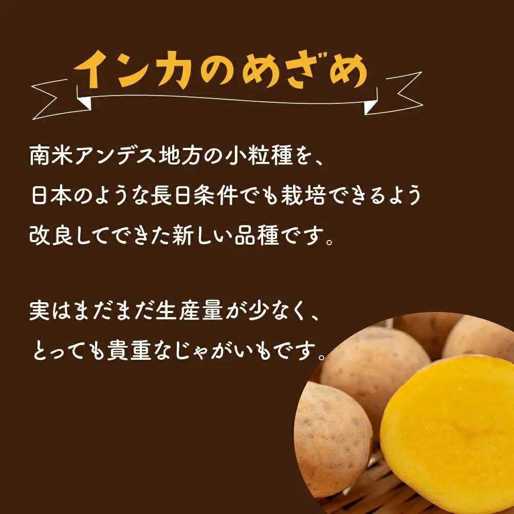 【2026年先行予約】北海道産じゃがいも（インカのめざめ）4kg（10月下旬発送開始）| じゃがいも _00417
