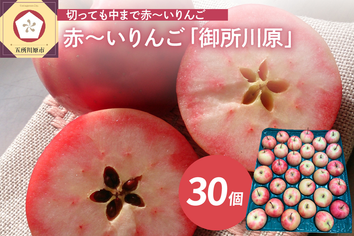 
            【選べる配送時期】 りんご 小玉 中まで赤～いりんご 「御所川原」 生果 30個 青森 クール便 【 チョイス限定 】
          