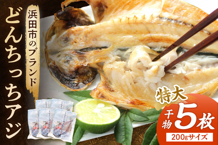 浜田市のブランド「どんちっちアジ」干物特大（200gサイズ）5枚 個包装 魚介類 干物 干もの 開き あじ 厳選 海鮮 セット 個包装 【019_1952】