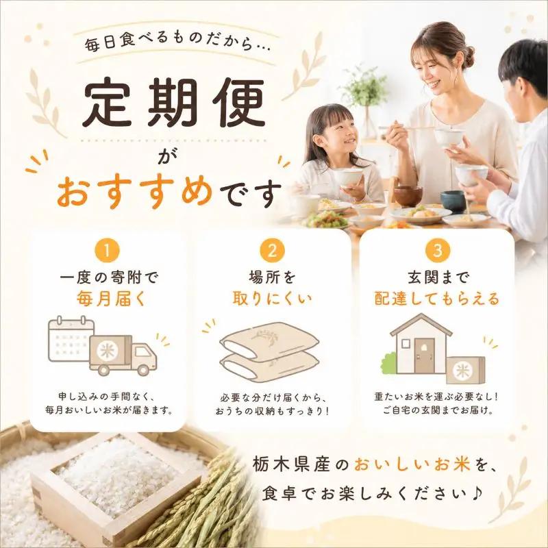 【令和8年産 新米】 【定期便12回】栃木県産 お米 とちぎの星　（無洗米） 10kg 【2026年秋以降発送】 |  栃木県 矢板市 【栃木県共通返礼品 真岡市産】