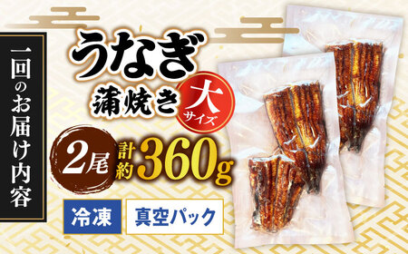 【うなぎや】 【3回定期便】 炭火焼 うなぎの蒲焼き 2尾 【紀州備長炭使用】 鰻 ウナギ 丑の日 多治見市 [TFO007]