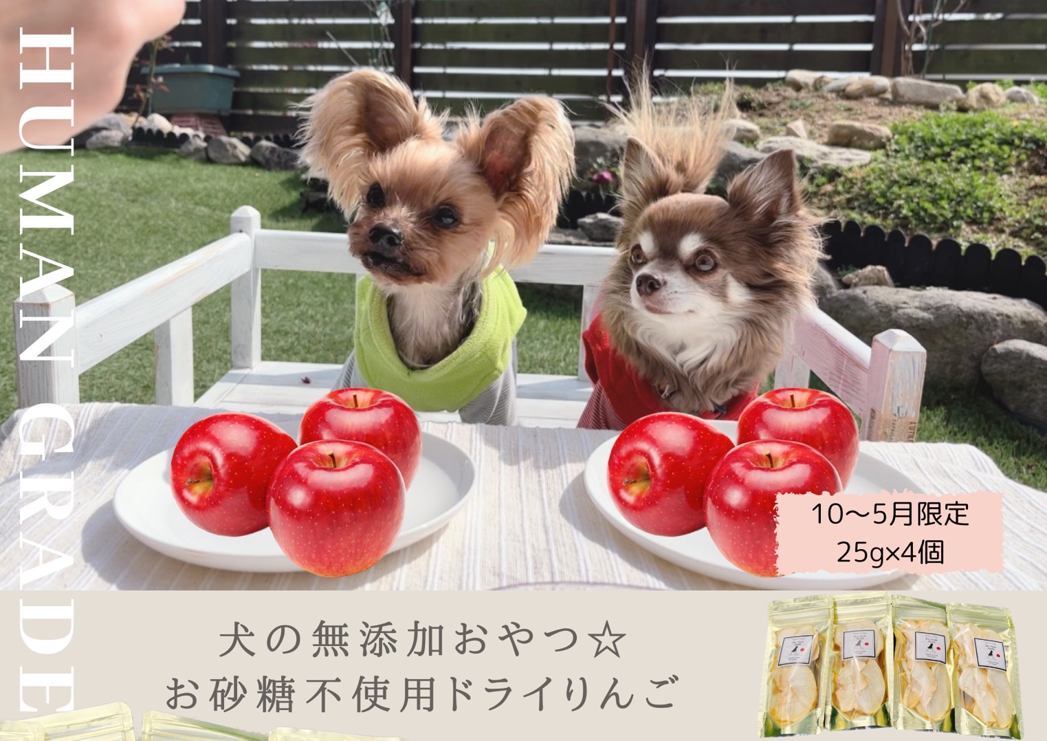 FB148_【10月～5月末まで順次発送】犬の無添加おやつ☆お砂糖不使用ドライりんご４個／みやき町