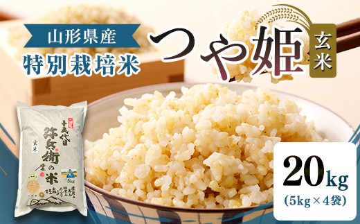 
                  【令和7年産】特別栽培米 つや姫 玄米 20kg（5kg×4袋） 山形県産 F2Y-4787
                