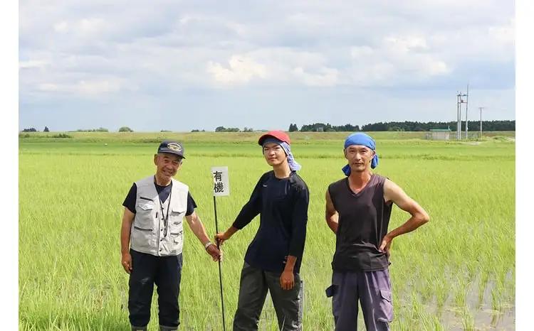 【新米予約】《 希少品種米 》 米 令和8年 宮城県産 ササシグレ ( 栽培期間中農薬・肥料不使用 ) 【 3回 定期便 】 玄米 10kg × 3ヶ月 （ 合計 30kg ） 無農薬 ｜nt-ss1