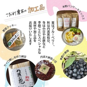 ＜３６９商店＞京都丹波産旬の野菜セットデラックス！平飼い卵10個、季節の果物又は加工品　※栽培期間中農薬・化学肥料不使用※ 野菜 卵 ※北海道・沖縄・離島への配送不可