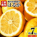 【ふるさと納税】はるか 約7kg S～2L 家庭用 サイズ混合 横川果樹園 《2月上旬-3月中旬頃より出荷》 和歌山県 日高川町 はるか みかん 果物 柑橘 フルーツ 送料無料