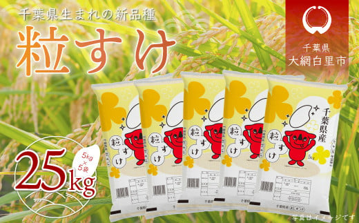 【新米先行受付】令和6年産 千葉県産「粒すけ」25kg（5kg×5袋）  お米 25kg 千葉県産 大網白里市 粒すけ 米 精米 こめ 送料無料 A043